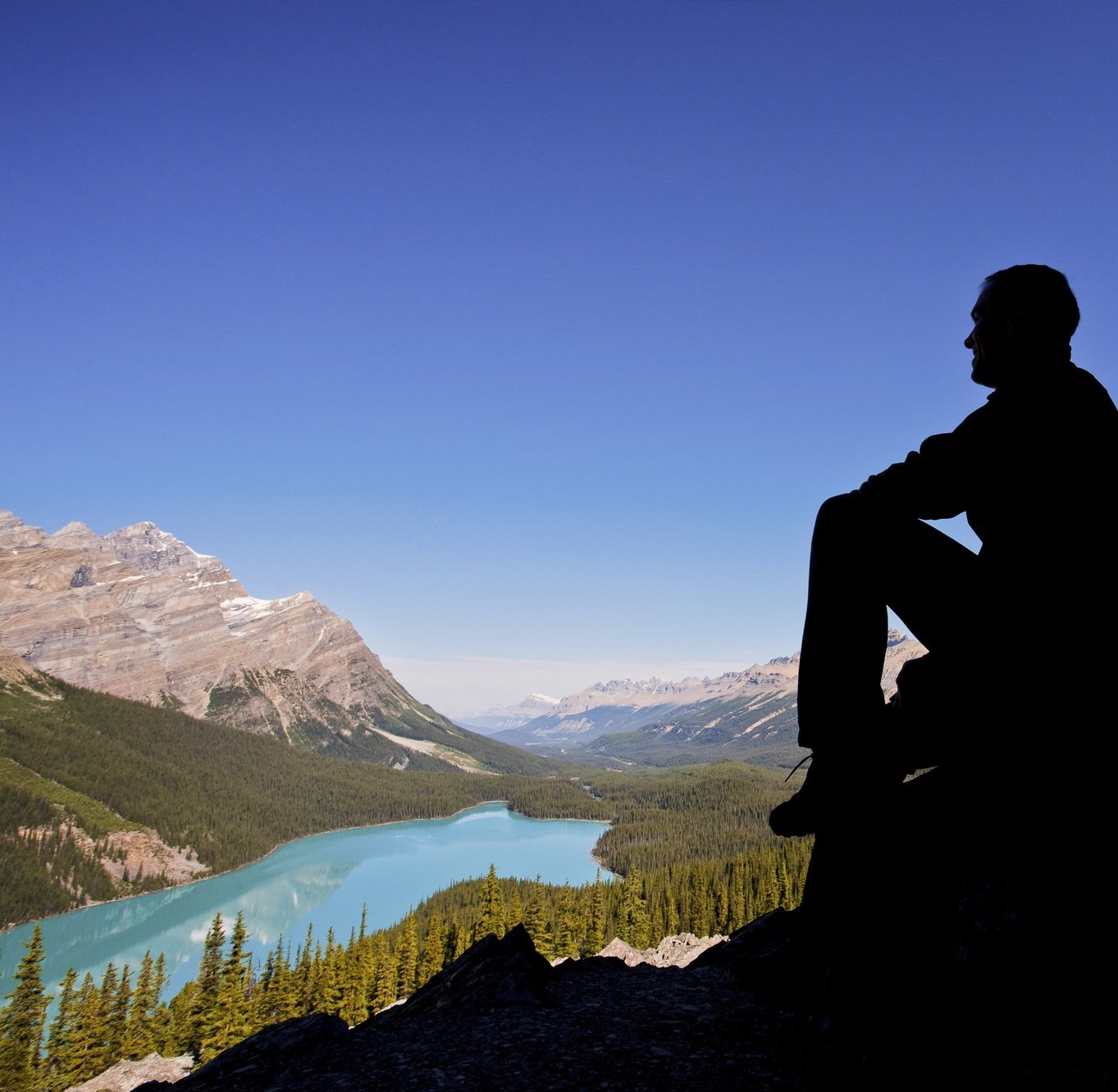 Private Icefields Parkway Tour with Columbia Icefield Adventure